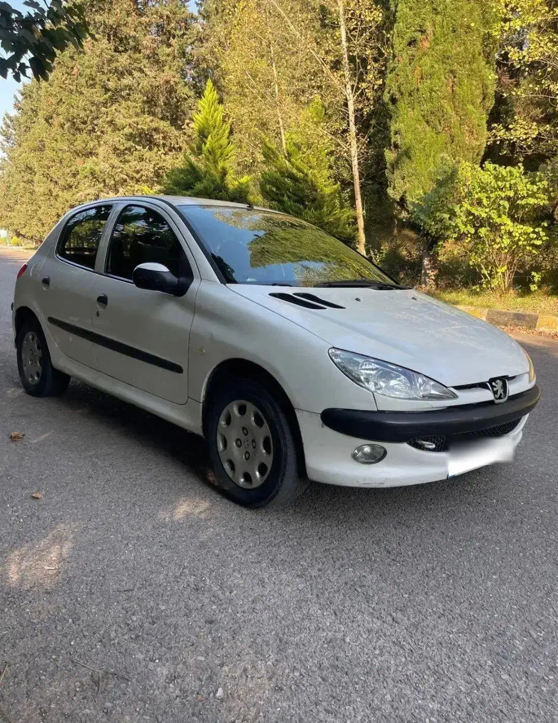 ۲۰۶ تیپ ۲ مدل ۹۱|خودرو سواری و وانت|ساری, |دیوار