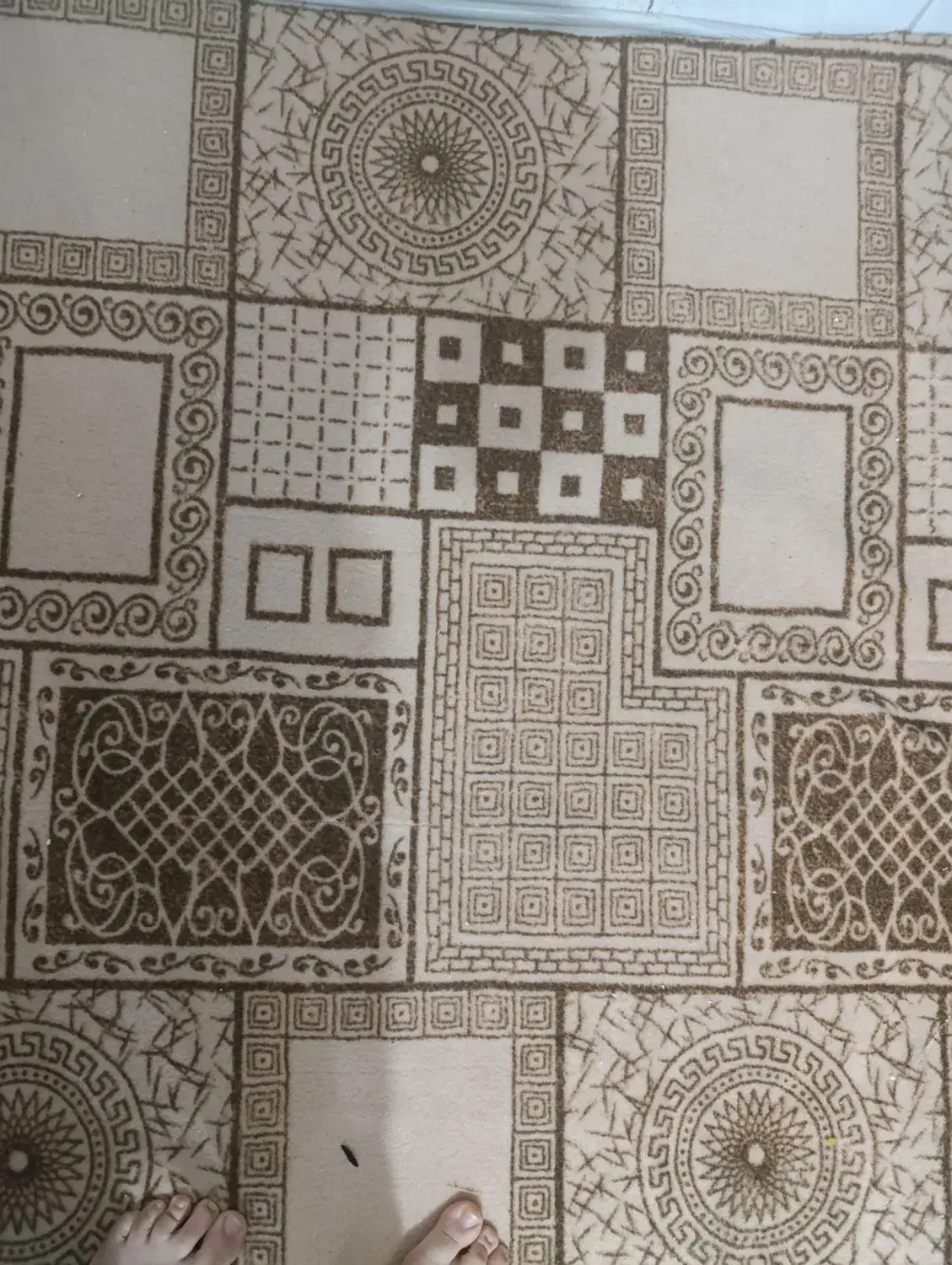 موکت یکبار شسته شده|موکت|قرچک, پارس سرام|دیوار