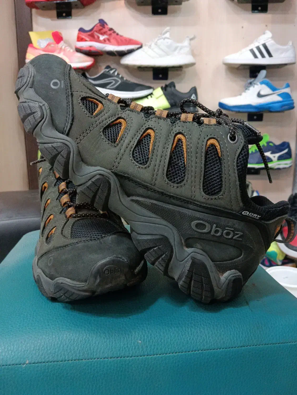 پائیزتان را با ما تجربه کنید|کیف، کفش، کمربند|مشهد, تلگرد|دیوار