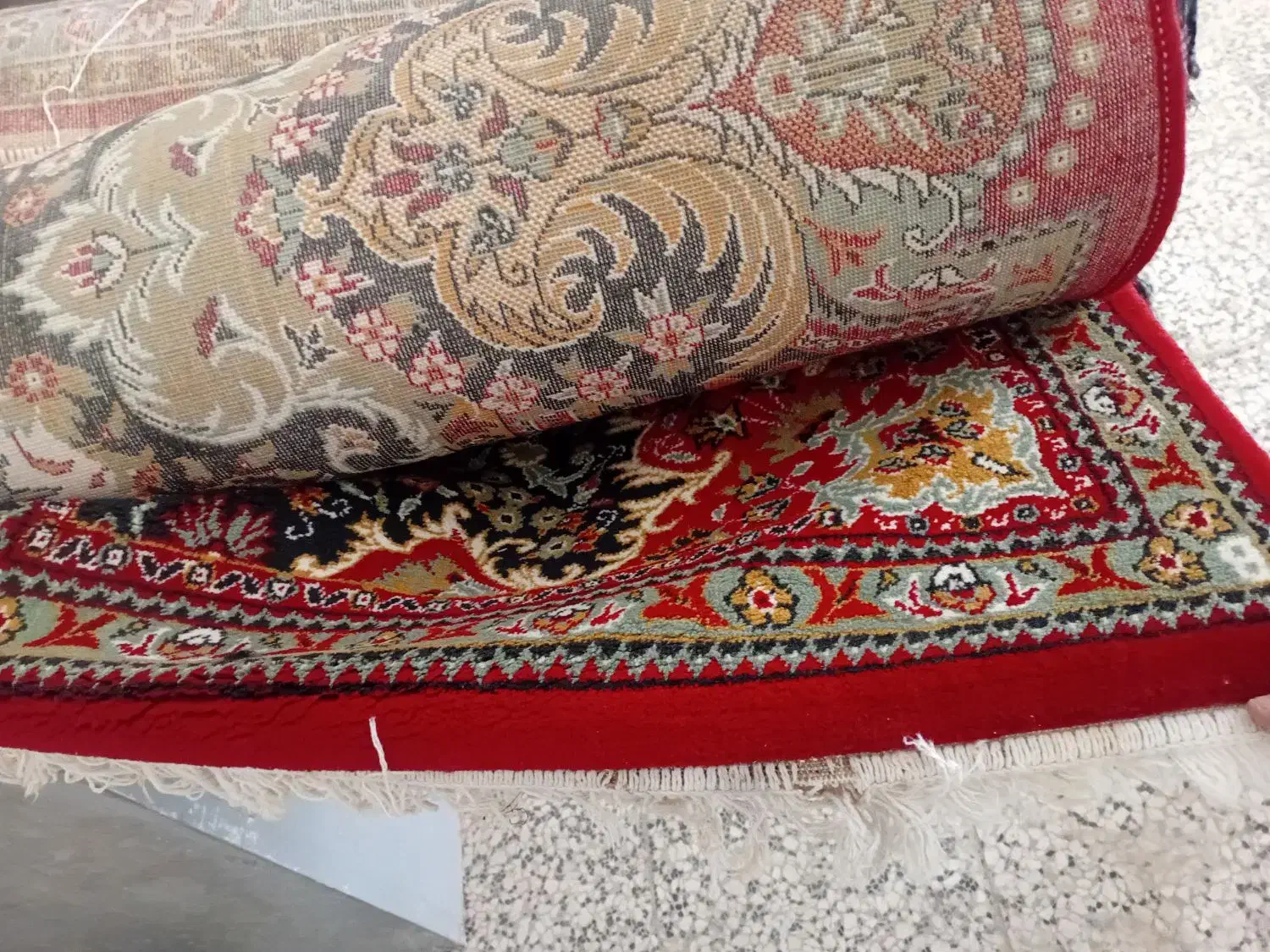 فرش گل قرمز|فرش|رضویه, |دیوار