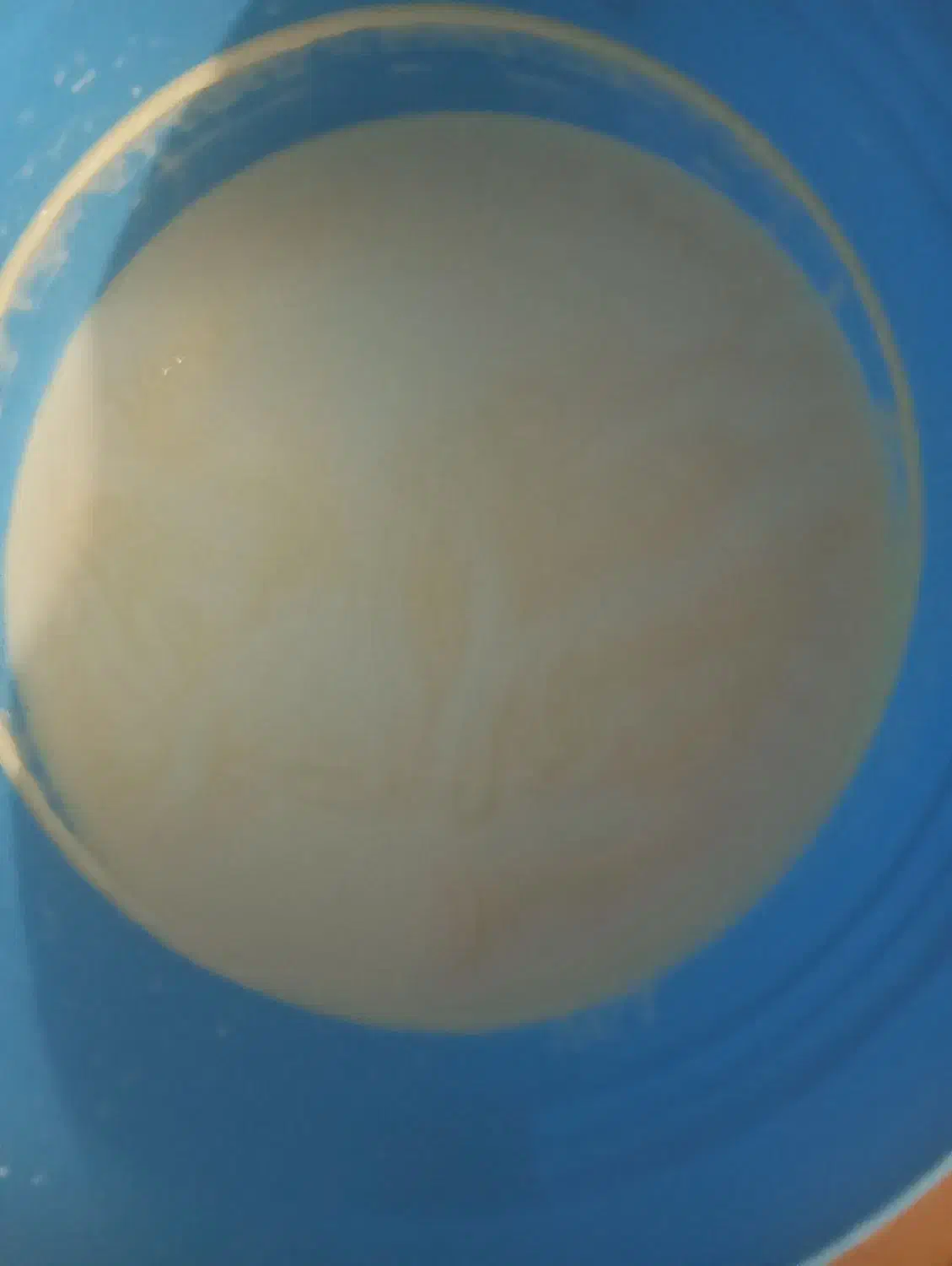 شیر پرچرب|خوردنی و آشامیدنی|خرمآباد, |دیوار