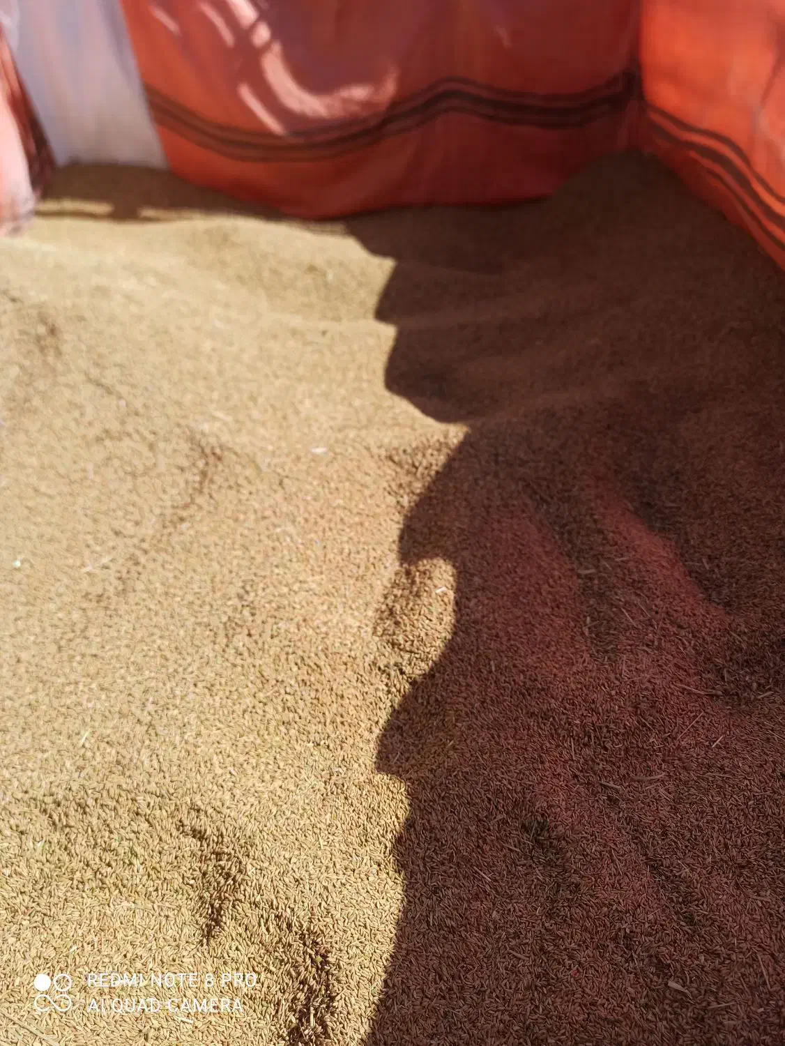 چلتوک|خوردنی و آشامیدنی|درودزن, |دیوار