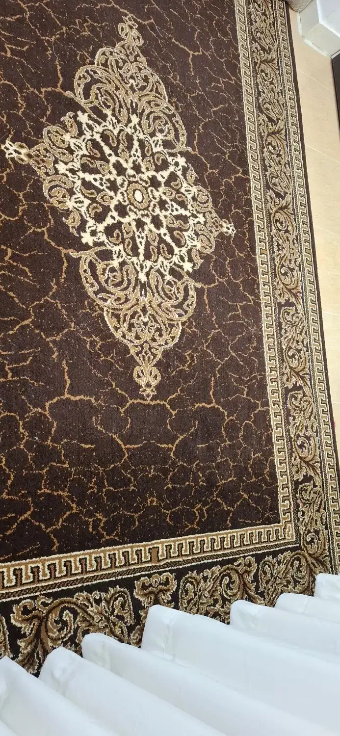 گلیم فرش سالم و تمیز|گلیم، جاجیم، گبه|بندرعباس, |دیوار