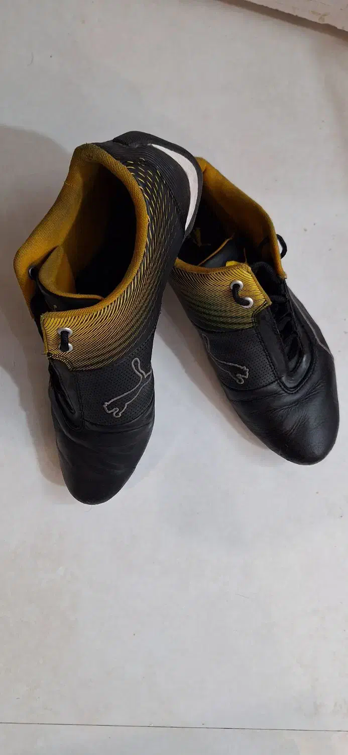 کفش ورزشی و دوچرخه سواری پوما|کیف، کفش، کمربند|مشهد, فرهنگیان (شهرک غرب)|دیوار