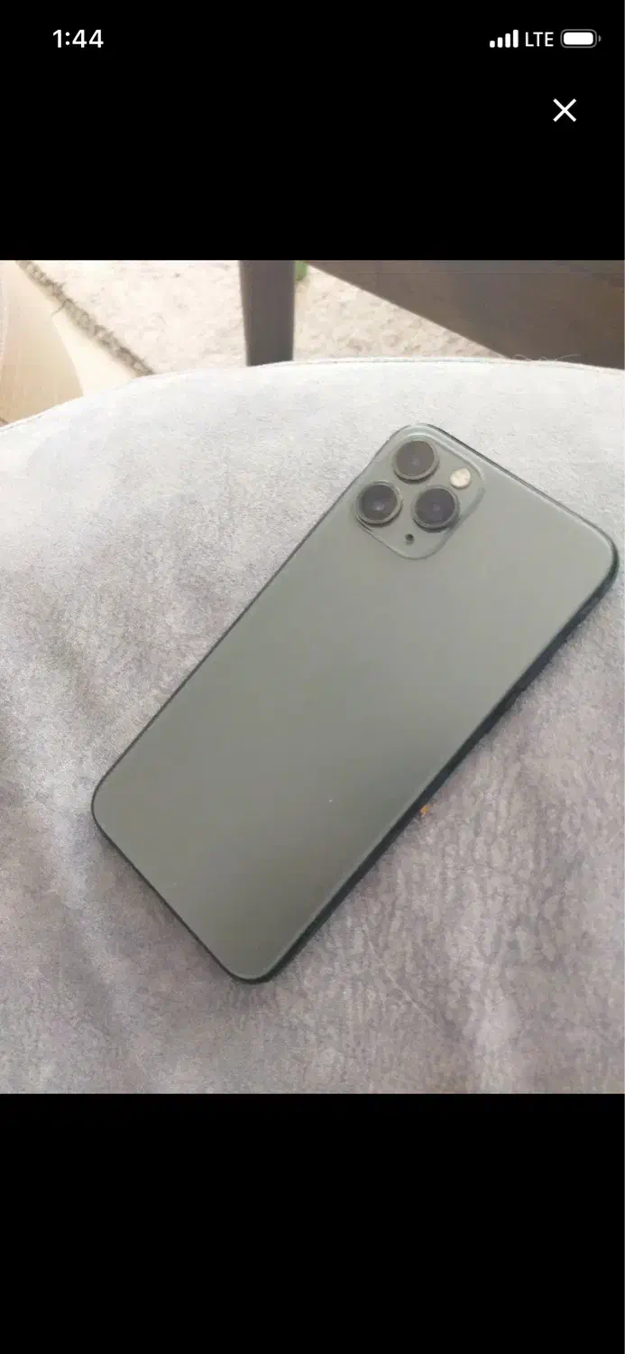 iphone11pro|موبایل|پرند, فاز ۵|دیوار