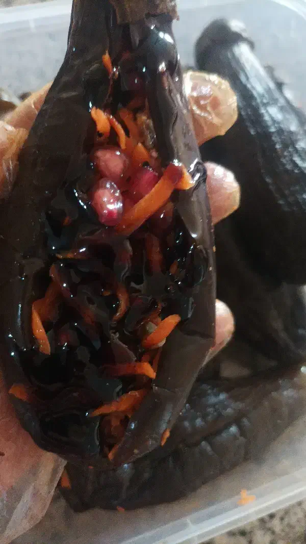 ترشی خانگی درجه یک عالی تضمینی بهداشتی|خوردنی و آشامیدنی|شاهین‌شهر, گرگاب|دیوار