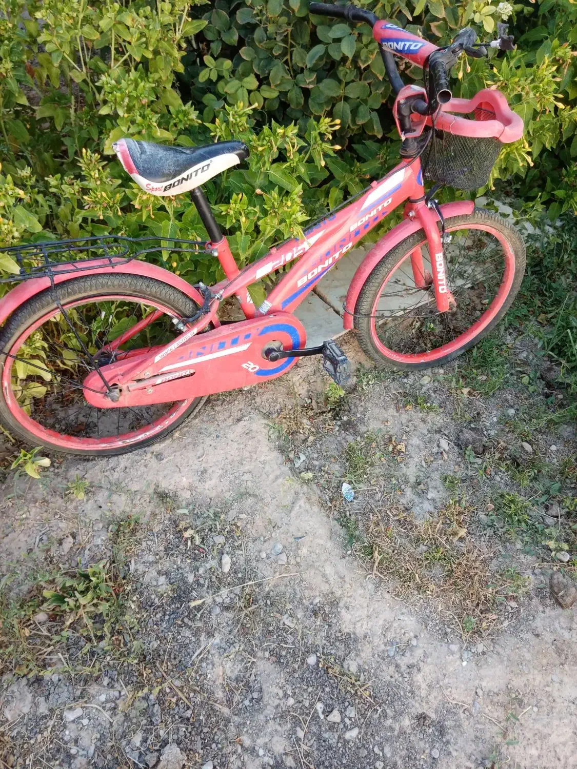 فروش دوچرخه|دوچرخه، اسکیت، اسکوتر|آباده, |دیوار