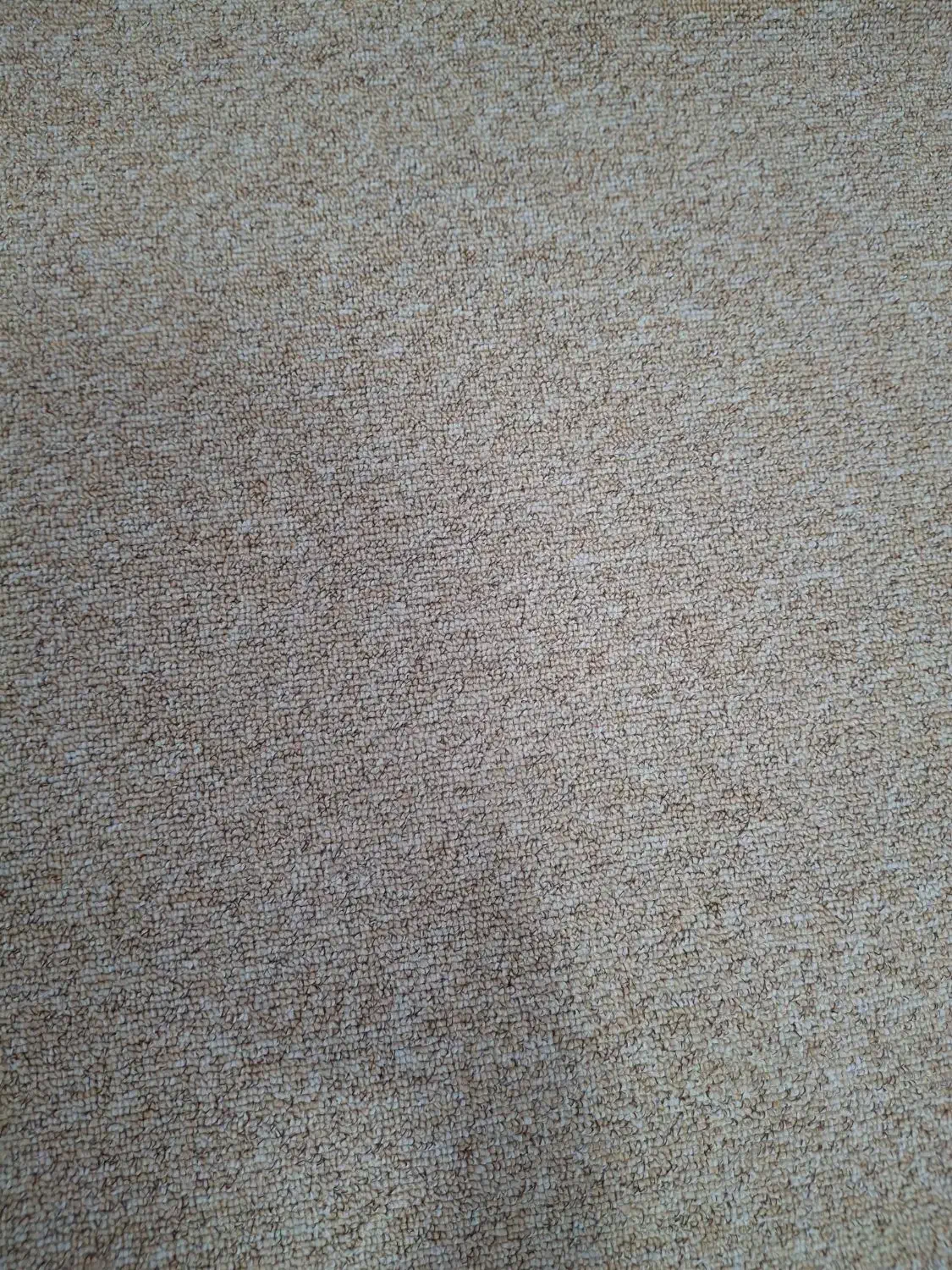 پالاز فروشی|موکت|رامهرمز, |دیوار