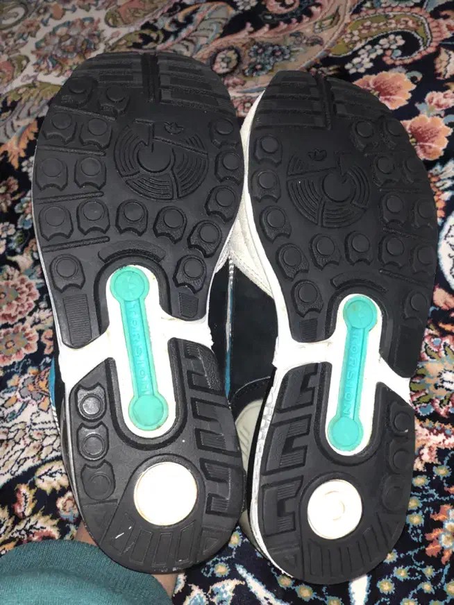 کتونی zxخط آبی شیری فیلی دلفینی سایر ۳۷/۳۸|کیف، کفش، کمربند|تهران, باغ فیض|دیوار