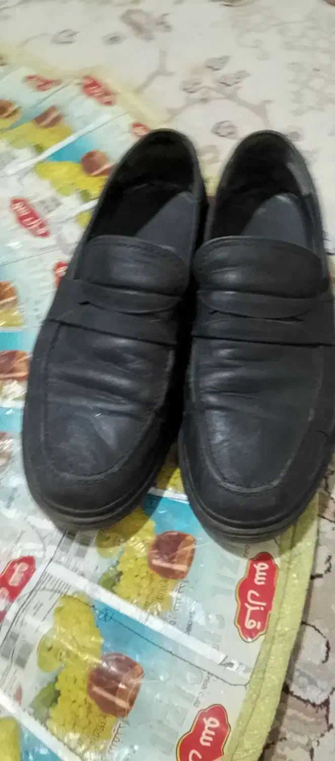 کفش مردانه|کیف، کفش، کمربند|هرسین, |دیوار