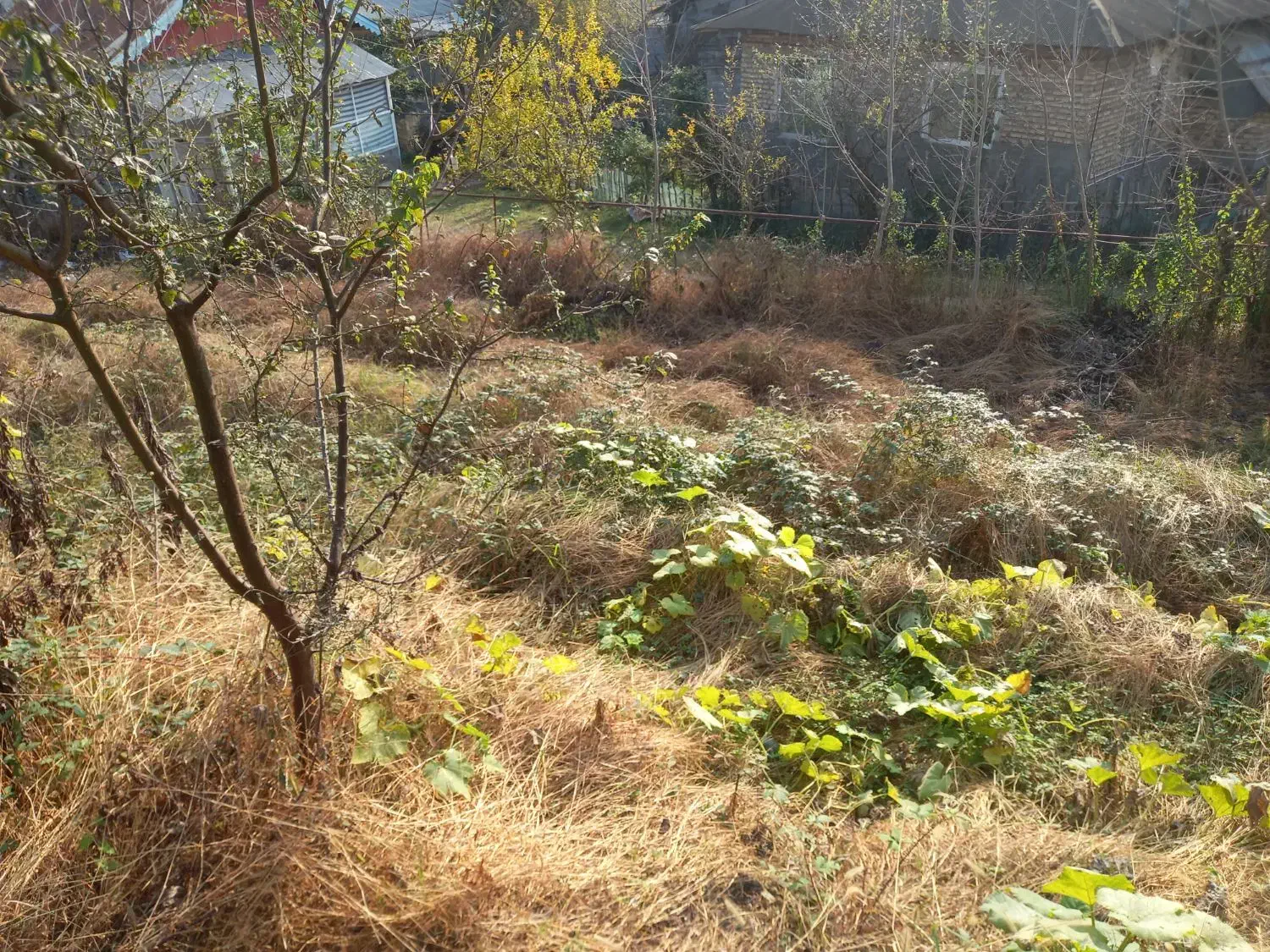 فروش زمین|فروش زمین و ملک کلنگی|اطاقور, |دیوار