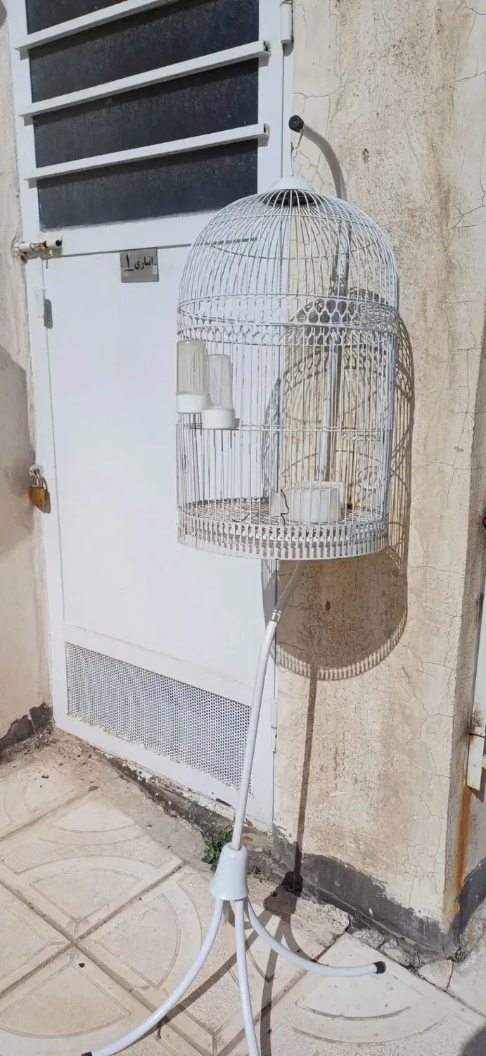 قفس پرنده|لوازم جانبی حیوانات|نیشابور, شهرک ولیعصر|دیوار