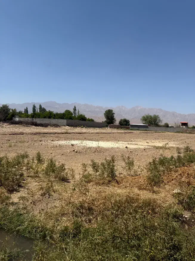 زمین کشاورزی در ماهان|فروش دفتر صنعتی، کشاورزی، تجاری|ماهان, |دیوار