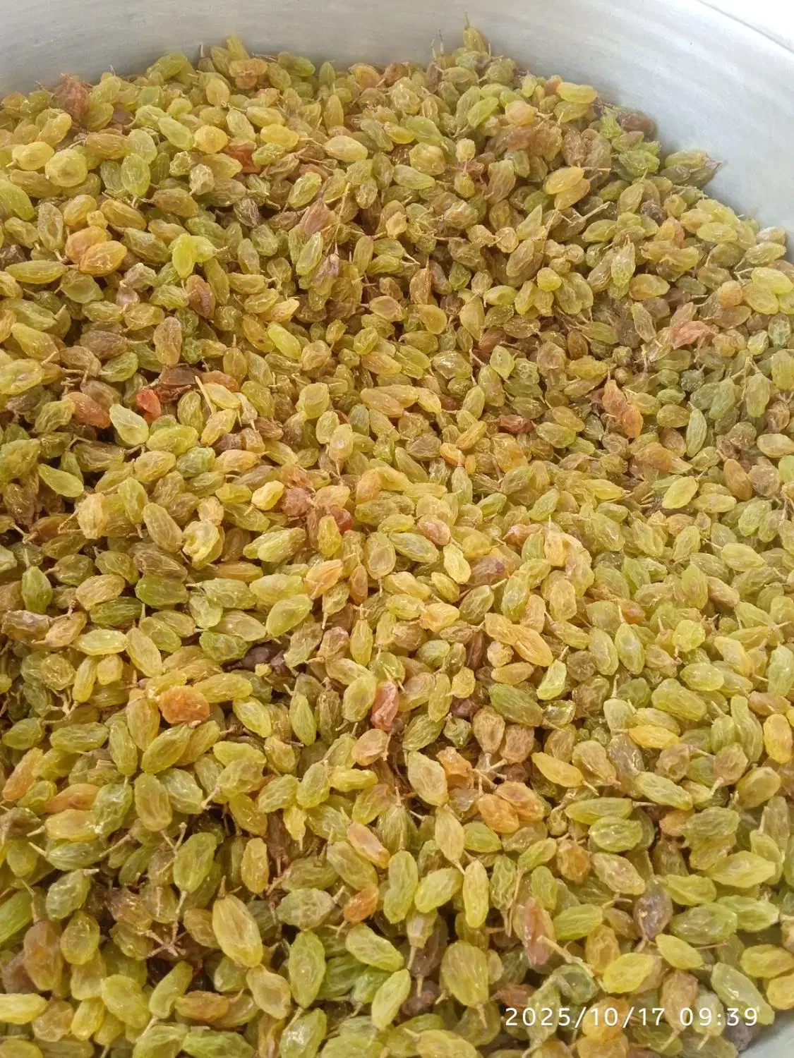 کشمکش|خوردنی و آشامیدنی|شهرکرد, |دیوار