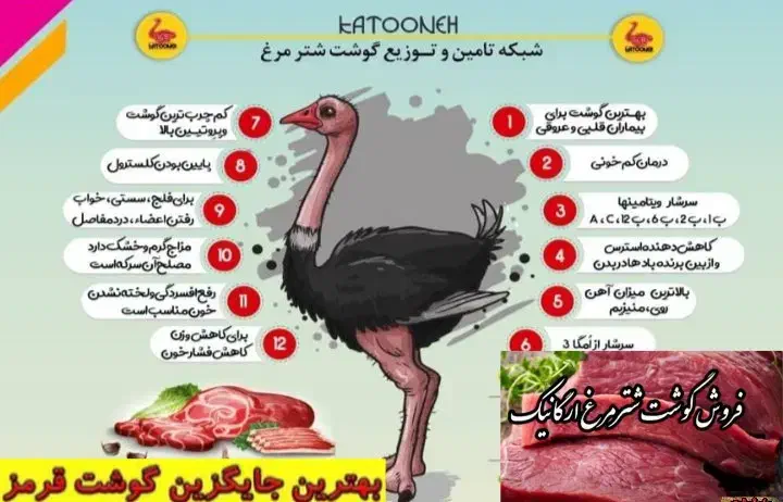 کهره بره گاوگوساله میش بزه خوردنی|حیوانات مزرعه|یاسوج, |دیوار