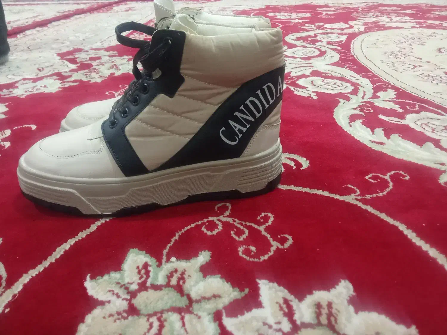 یک عدد بوتین|کیف، کفش، کمربند|قیدار, |دیوار