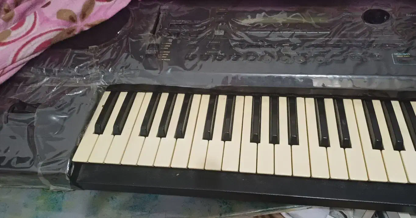 ارگ|پیانو، کیبورد، آکاردئون|ایلام, |دیوار