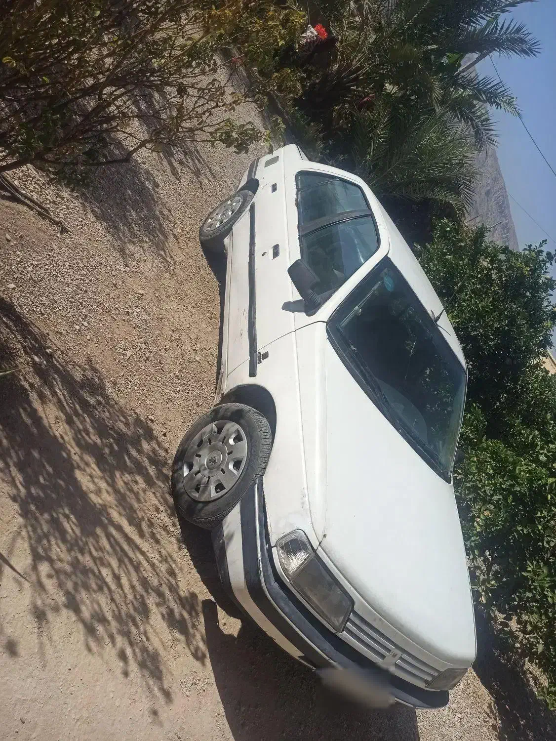 فروش پژواردی مدل83|خودرو سواری و وانت|کوه چنار, |دیوار