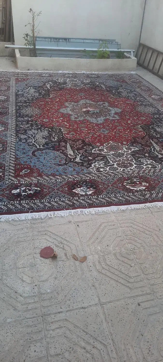 فرش ۱۲متری|فرش|ایلام, |دیوار