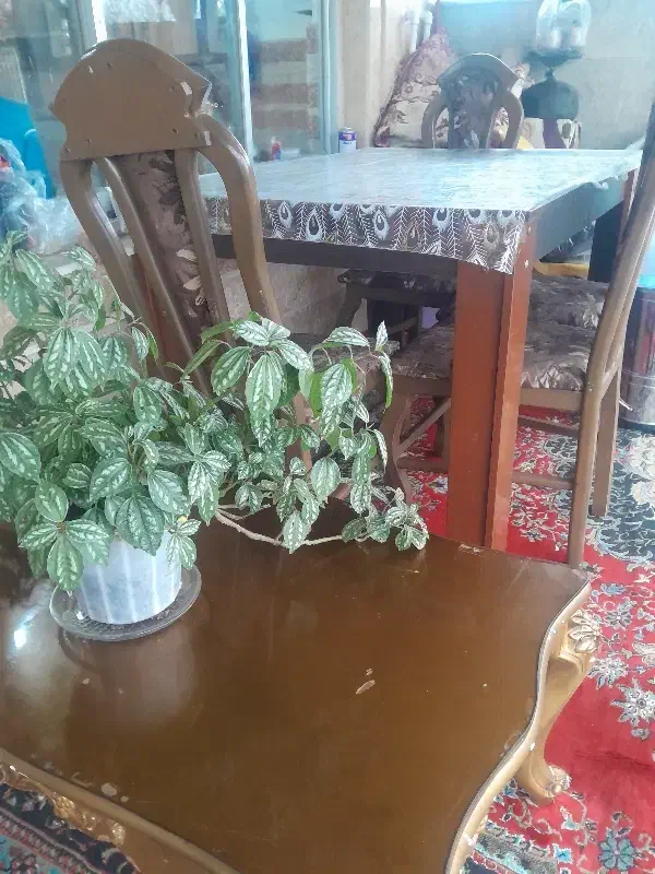 مبل ومیز نهارخوری فروش فوری فوری|مبلمان خانگی و میز عسلی|سنگر, |دیوار