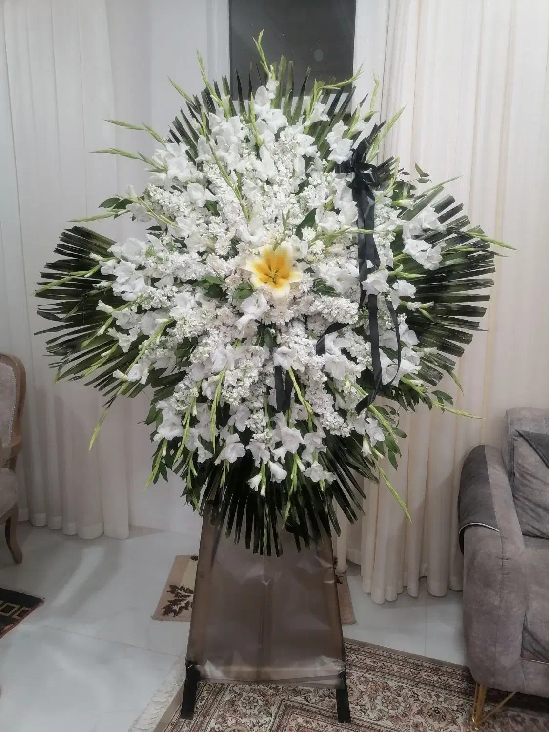 تاج گل|گل و گیاه طبیعی|یزد, |دیوار