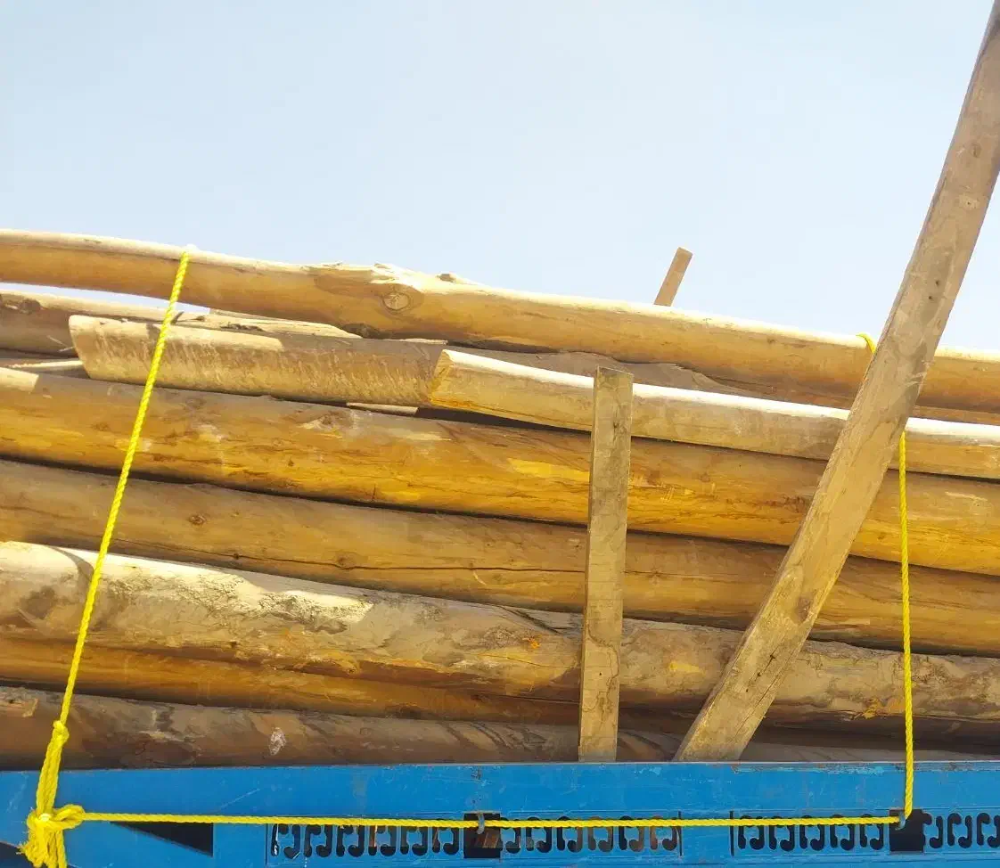 خرید چوب انواع درخت و چوب سقفی|عمدهفروشی|مشهد, بهمن|دیوار