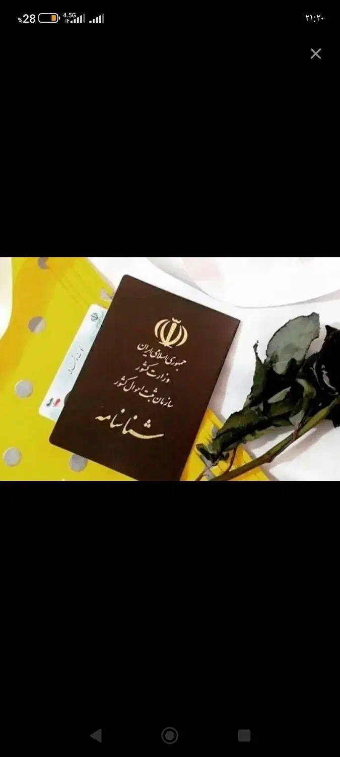 مدارک پیداشده|اشیا|شیراز, گلکوب|دیوار