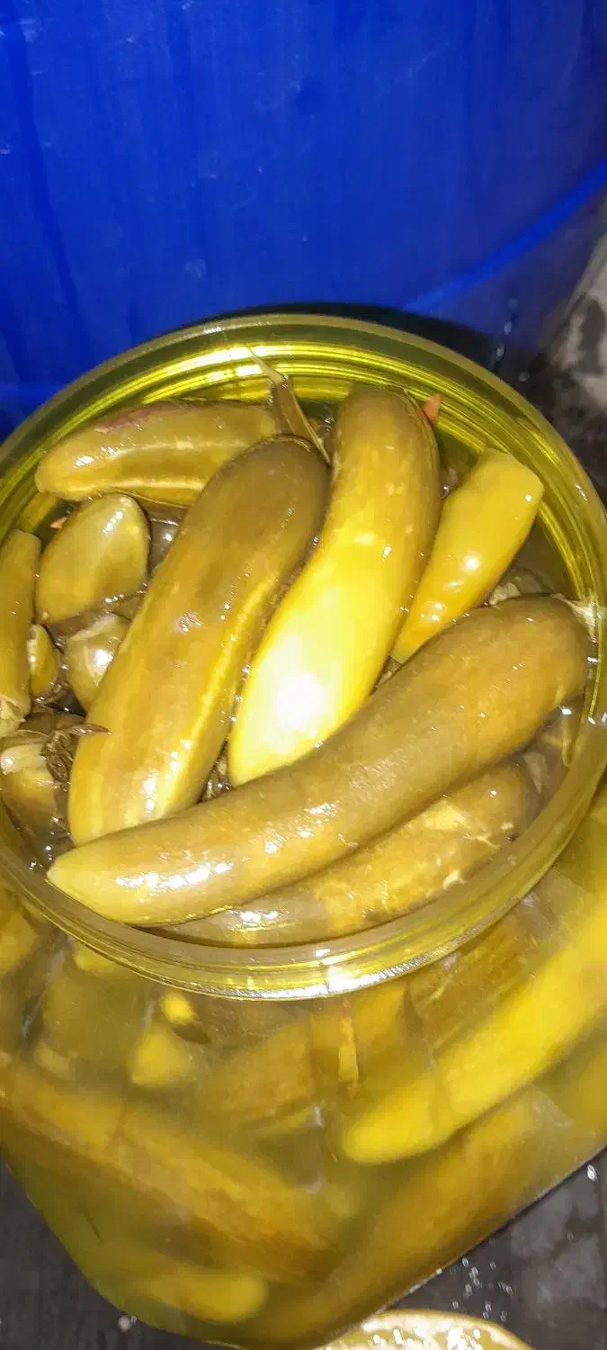 فروش خیارشور محلی با تعم مزه بسیار عالی|خوردنی و آشامیدنی|شیراز, دست خضر|دیوار