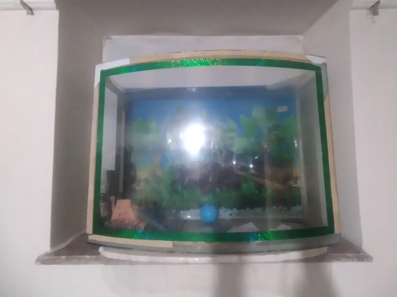 آکواریوم|ماهی|مراغه, |دیوار