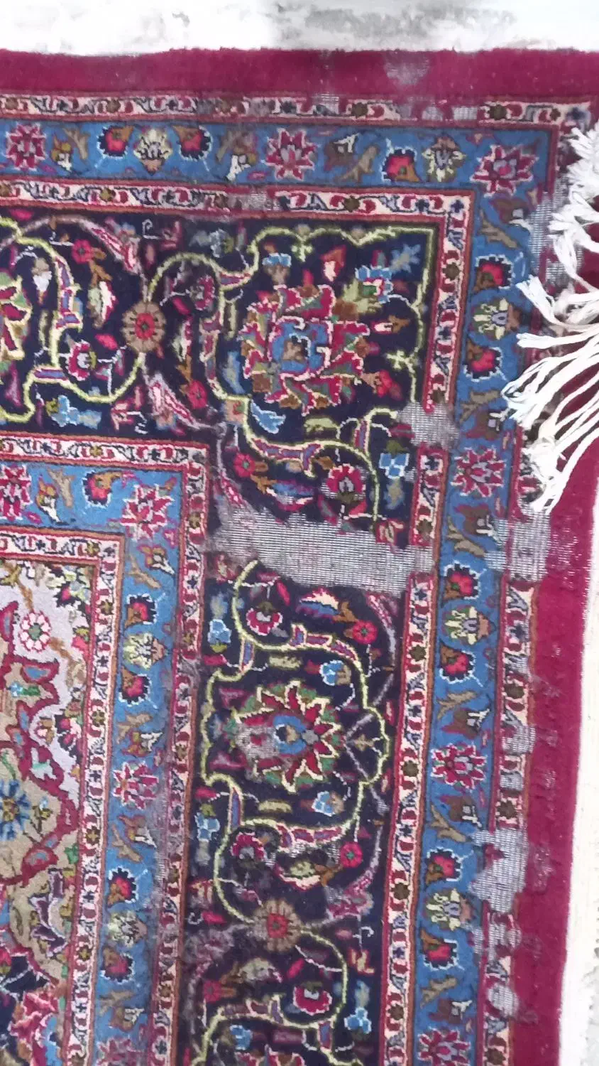 فرش دستبافت کاشمر|فرش|ورامین, ورامین|دیوار