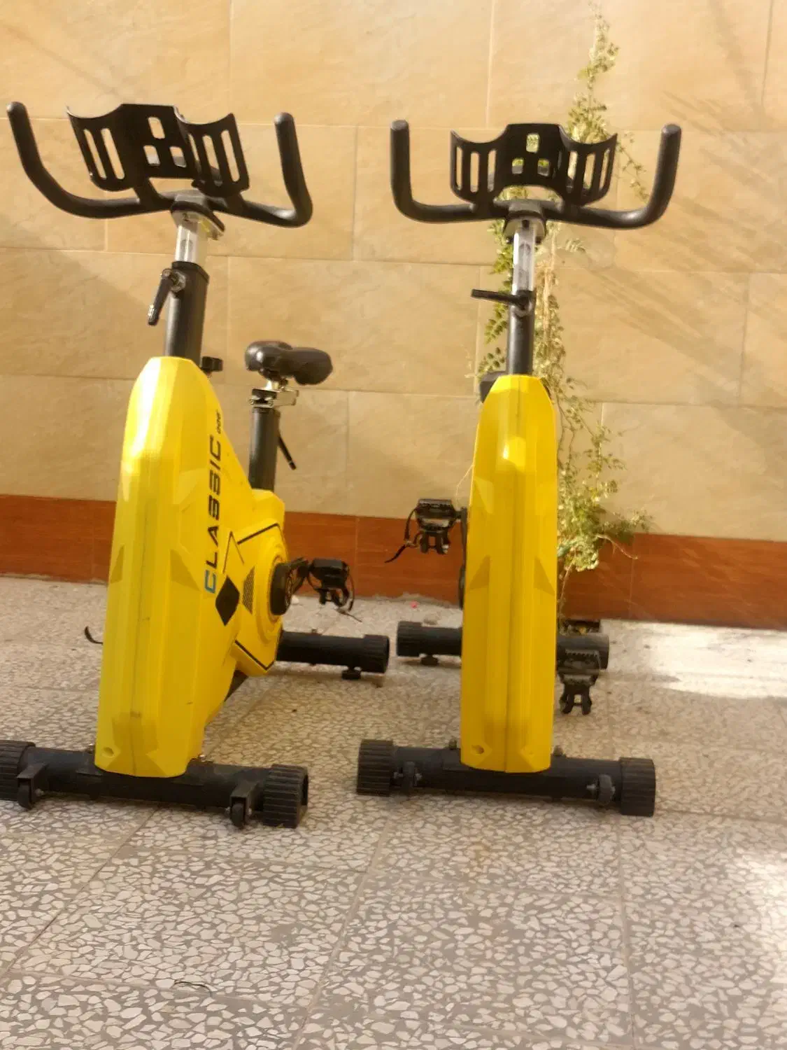 ۲ عدد دوچرخه باشگاهی|دوچرخه، اسکیت، اسکوتر|گرمدره, |دیوار