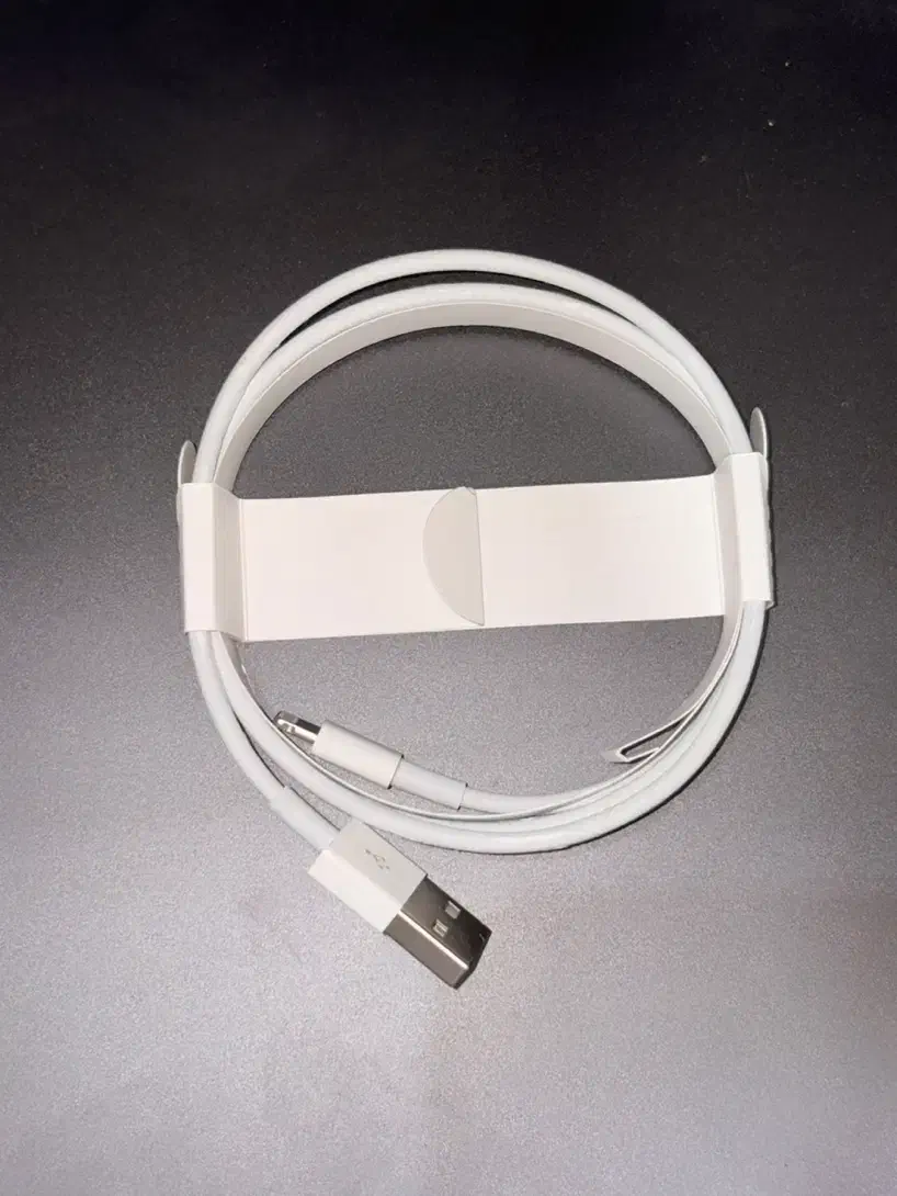 ایرپاد 2 اپل اصلی|لوازم جانبی موبایل و تبلت|کرمان, |دیوار