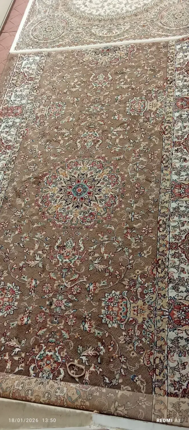 فرش|فرش|شهر ری, شهرک نظامی|دیوار