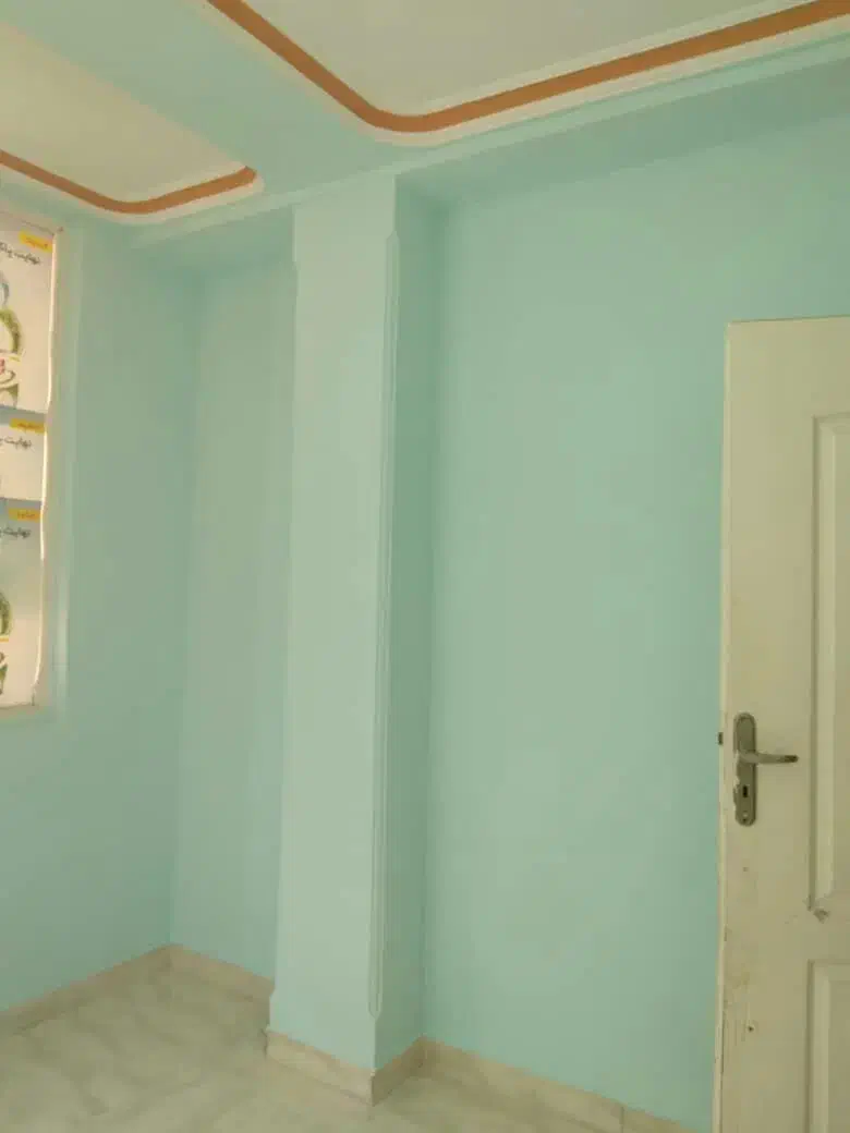 رنگ آمیزی نقاشی ساختمان|خدمات پیشه و مهارت|میناب, |دیوار
