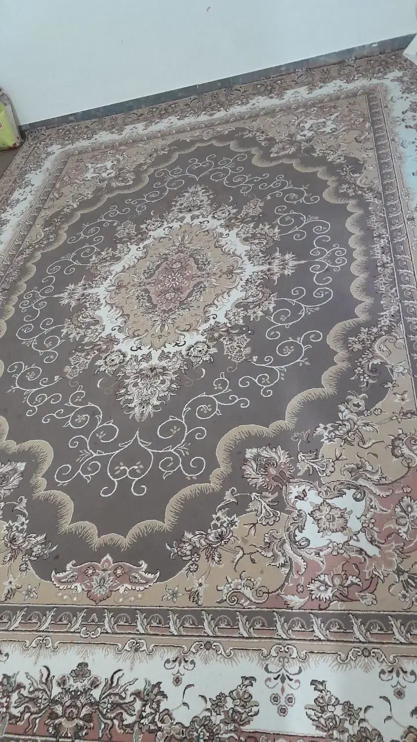 فرش|فرش|کوه چنار, |دیوار