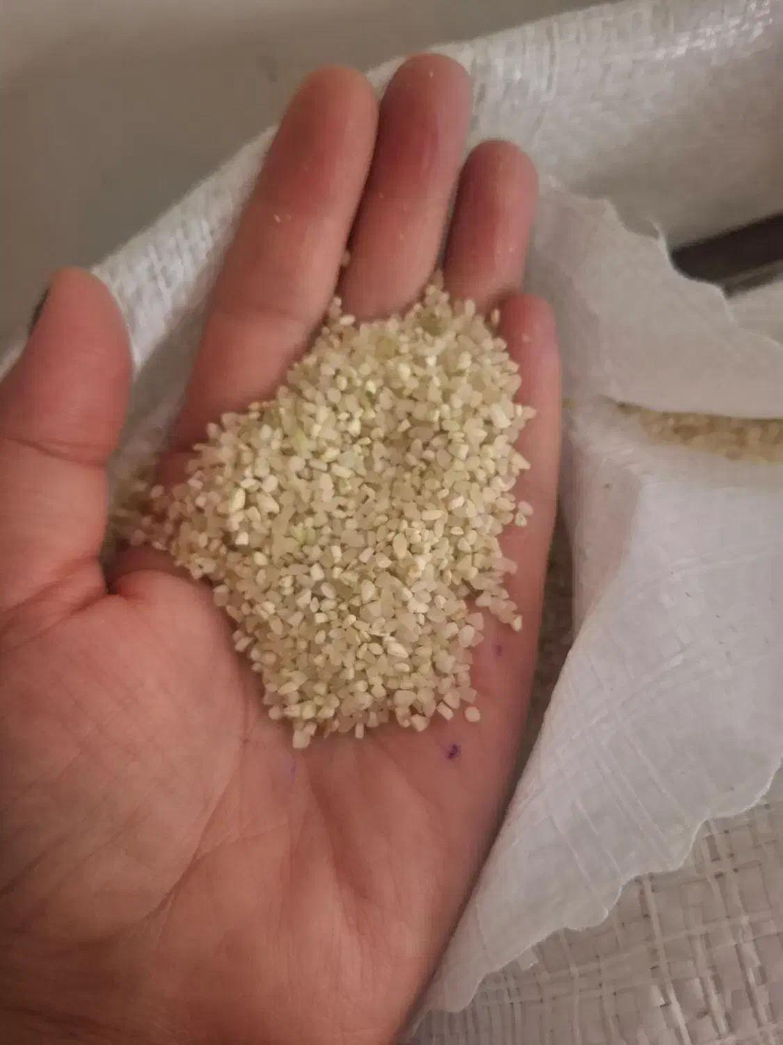 فروش خرده برنج کامفیروز اصل|خوردنی و آشامیدنی|شیراز, شهرک مدرس|دیوار
