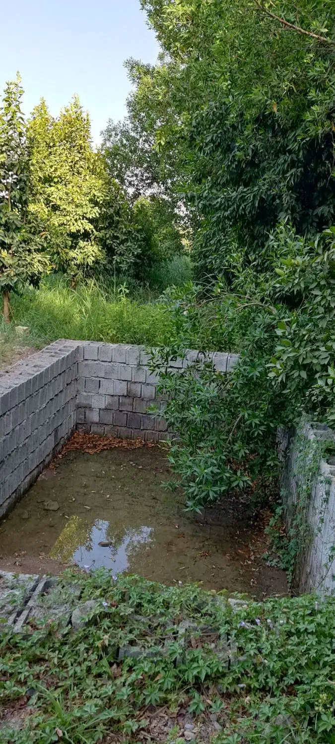 فروش باغچه ارزان قیمت|فروش خانه و ویلا|دزفول, |دیوار