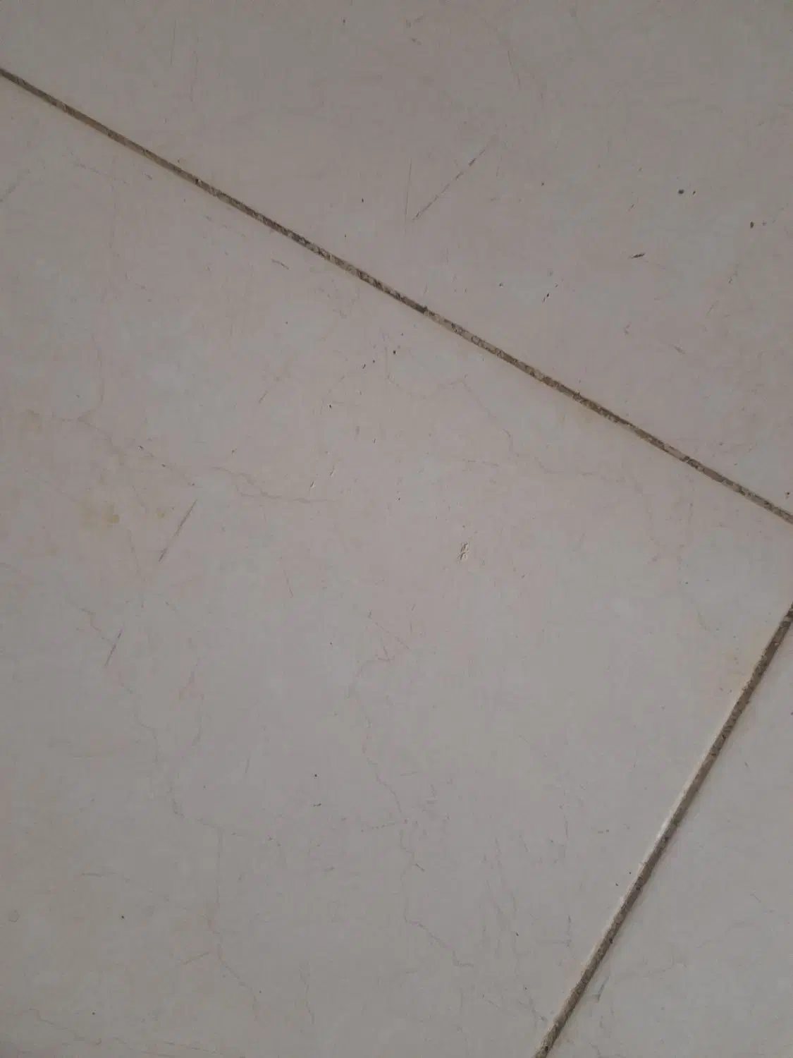 کیف مدارکم گمشده|اشیا|نیشابور, دارایی|دیوار