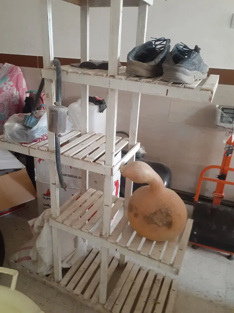 پایه گلدانی|گل و گیاه طبیعی|اسفراین, |دیوار