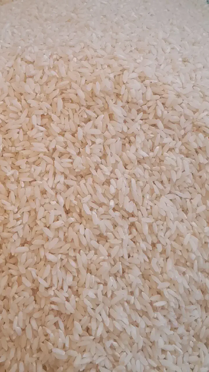 برنج چمپا تمیز سوسن موجوده|خوردنی و آشامیدنی|ایذه, |دیوار