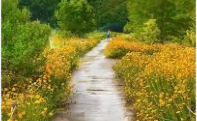 ۲ساعت آب باغ|خدمات باغبانی و درختکاری|سلماس, |دیوار