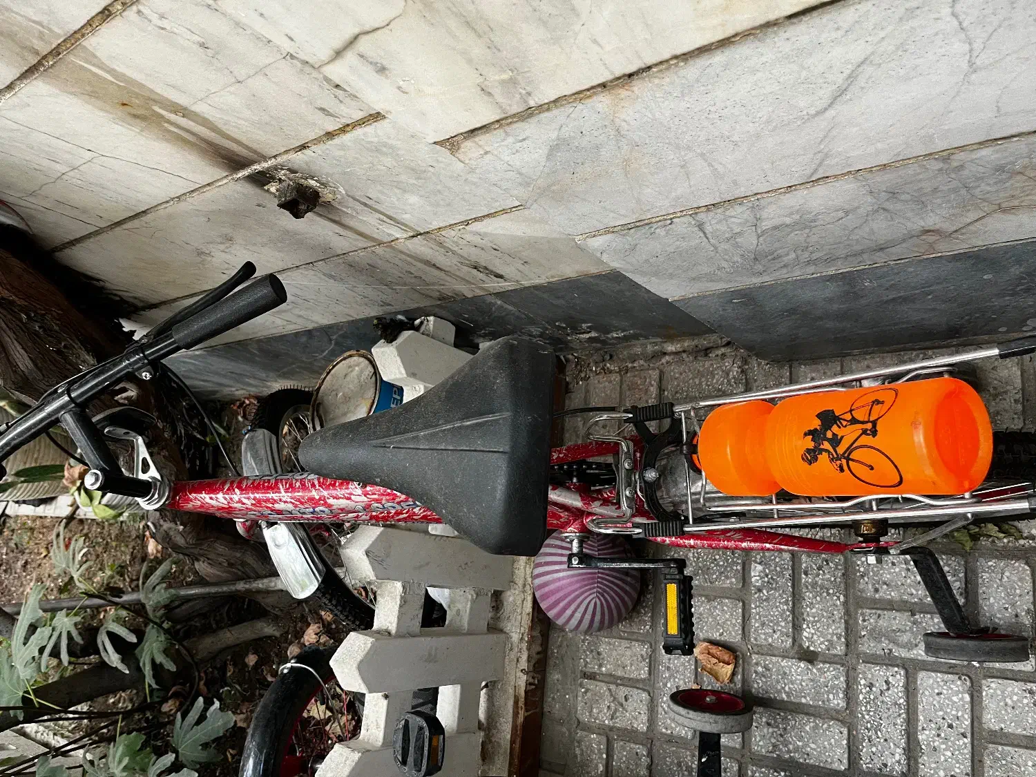 دوچرخه ۲۴|دوچرخه، اسکیت، اسکوتر|تهران, بنیهاشم|دیوار