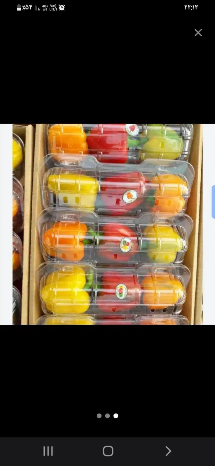 استخدام سورتینگ|استخدام خدمات فروشگاه و رستوران|تیران, |دیوار