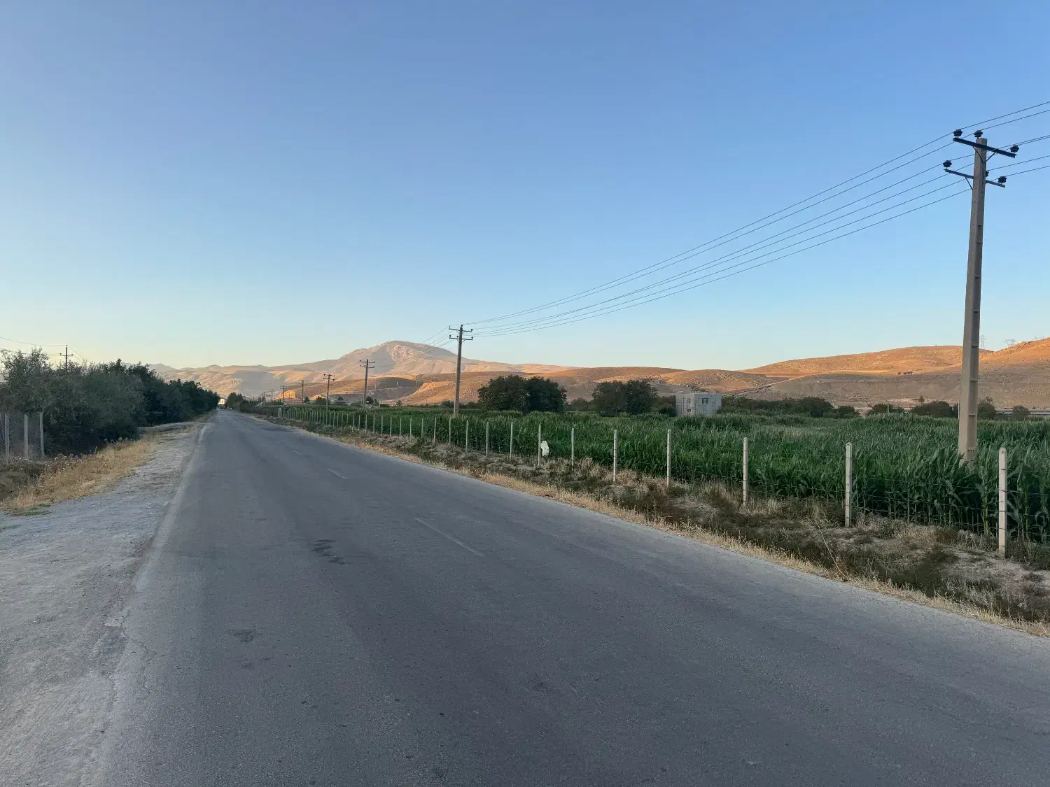 باغ ۱۲۰۰ متری در مجموعه باغی تجره، ده دقیقه تا شهر|فروش دفتر صنعتی، کشاورزی، تجاری|خرمآباد, |دیوار