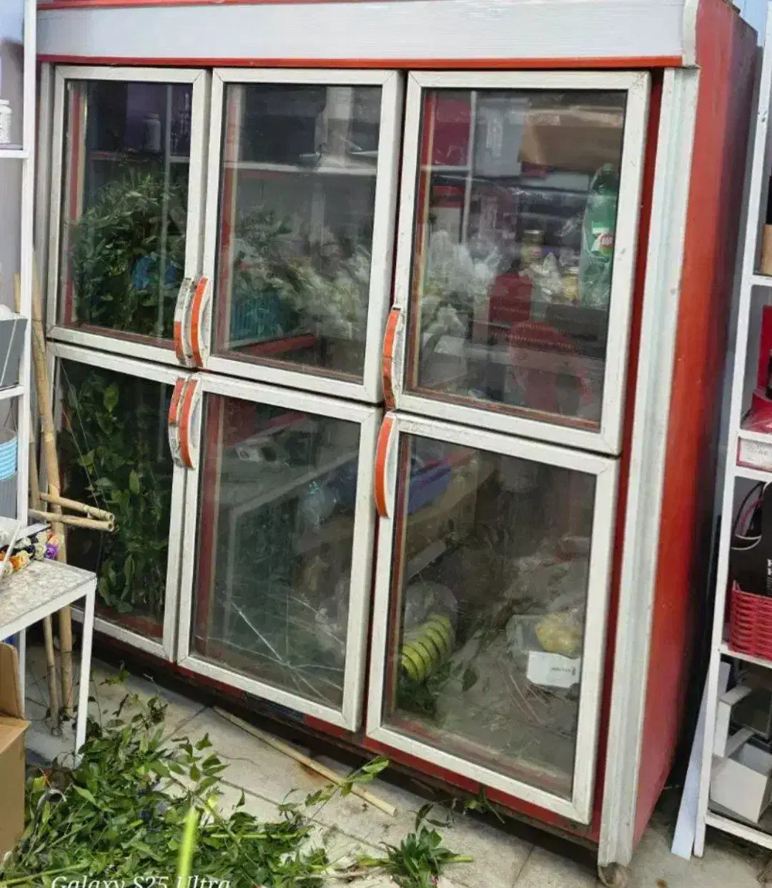 یخچال فروشگاهی|فروشگاه و مغازه|مشکین‌دشت, |دیوار