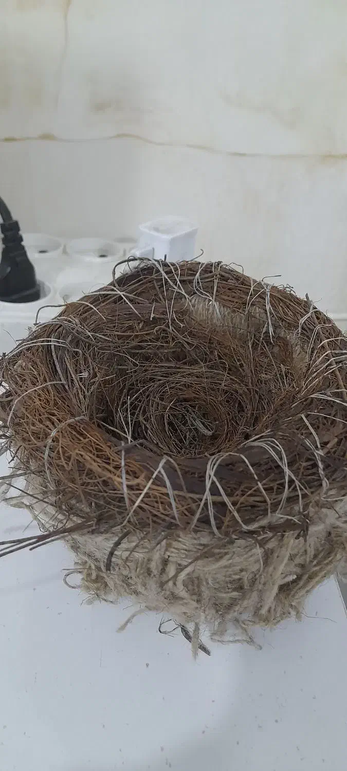 لانه|لوازم جانبی حیوانات|دهلران, |دیوار