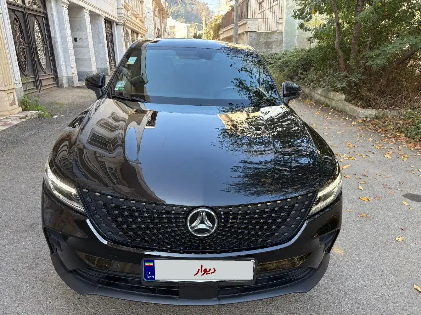 دیگنبتی پرستیژ|خودرو سواری و وانت|رشت, کاکتوس|دیوار