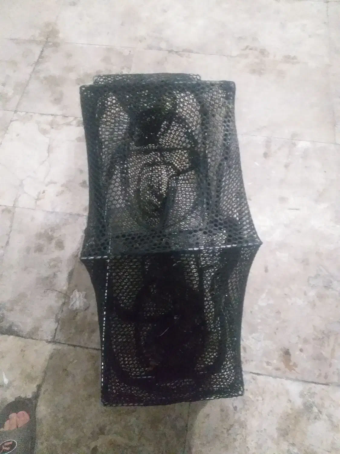 چتر ماهیگیری|ماهیگیری|زنجان, |دیوار