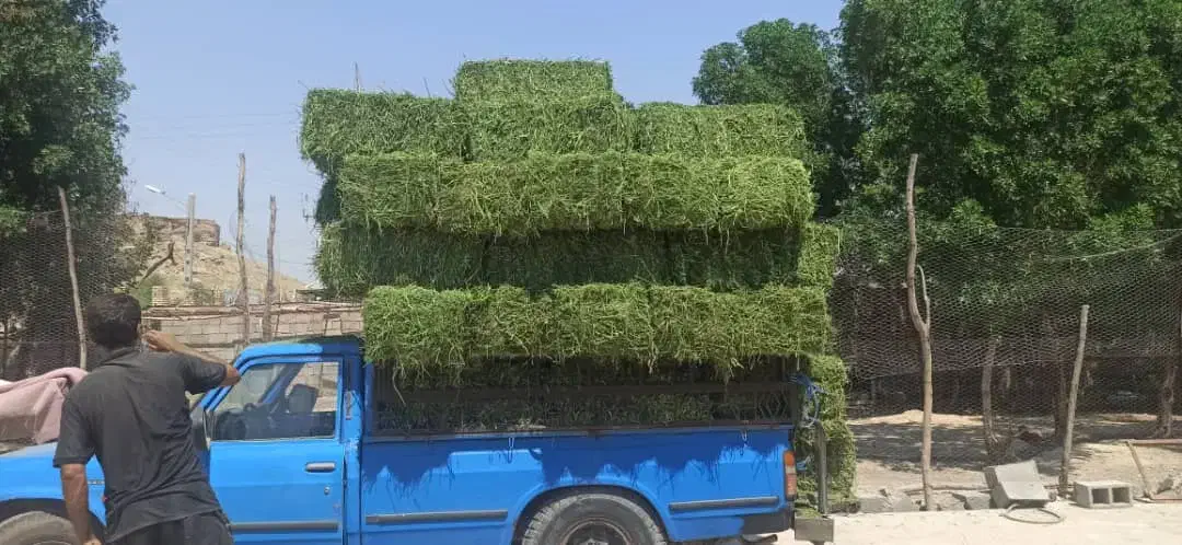 پرس یونجه سبوس گندم کاه گندم جو خوراک اسب|لوازم جانبی حیوانات|اصفهان, شهرک کوثر|دیوار
