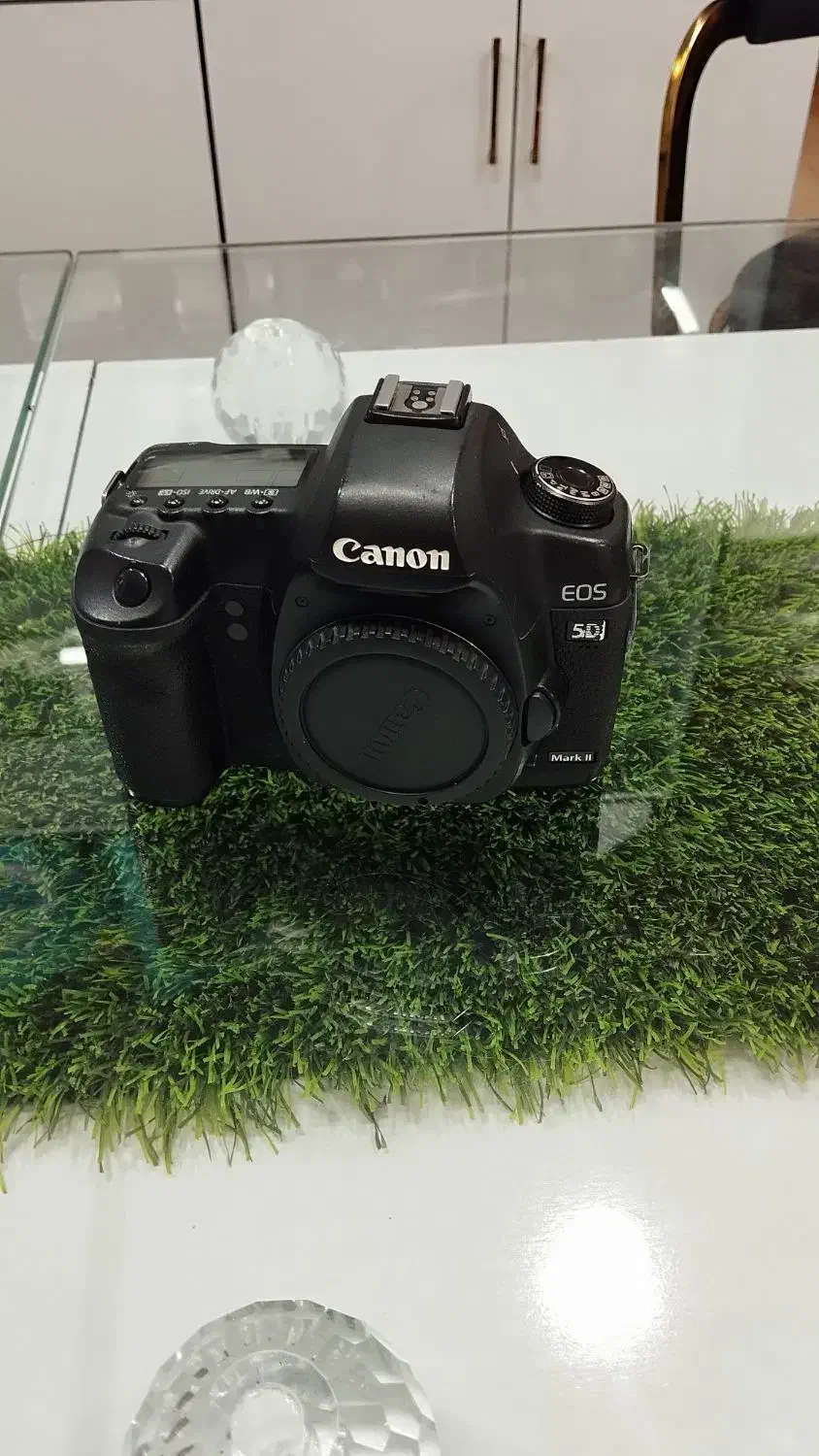 دوربین عکاسی و فیلمبرداری کنون 80D|دوربین عکاسی و فیلم‌برداری|مشهد, ایثار|دیوار